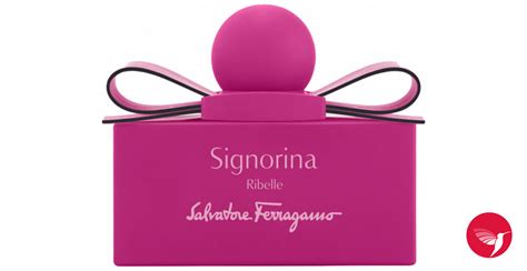 signorina ribelle fragrantica